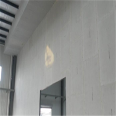 华龙宁波ALC板|EPS加气板隔墙与混凝土整浇联接的实验研讨